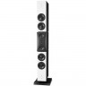 Пассивные студийные мониторы DYNAUDIO M5P Evidence ALL BLACK 40199